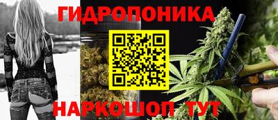 мдпв Гусь-Хрустальный