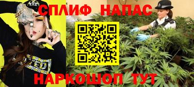 мдпв Гусь-Хрустальный
